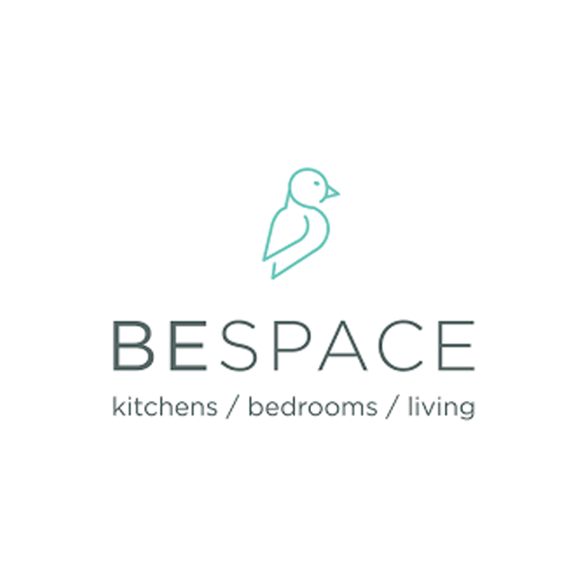 BeSpace Company Logo